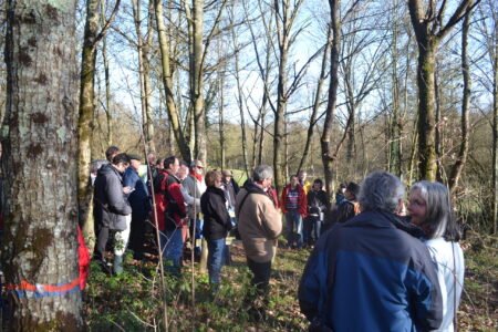 Un guide pratique pour mieux préserver la biodiversité dans les forêts