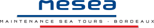 logo mesea 1