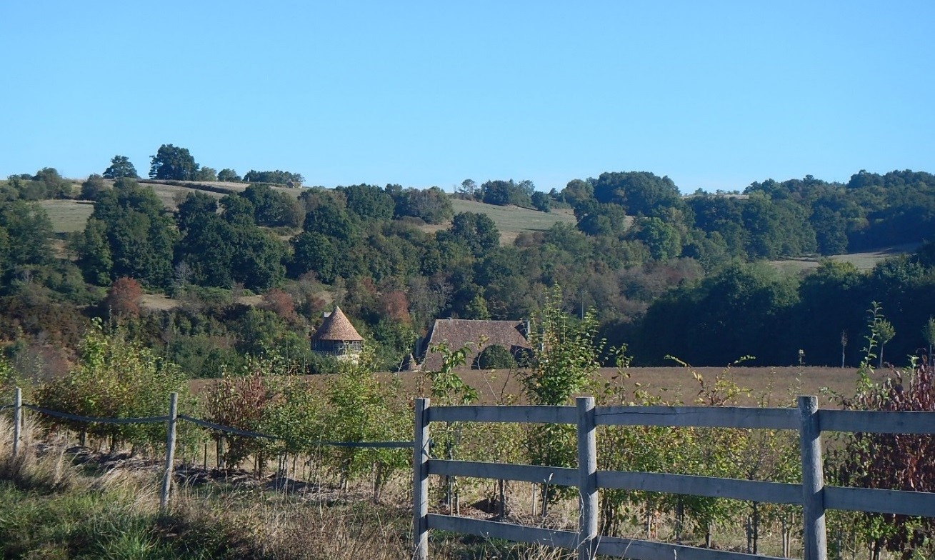 mesures compensatoires plantation de haie a Montbron Charente