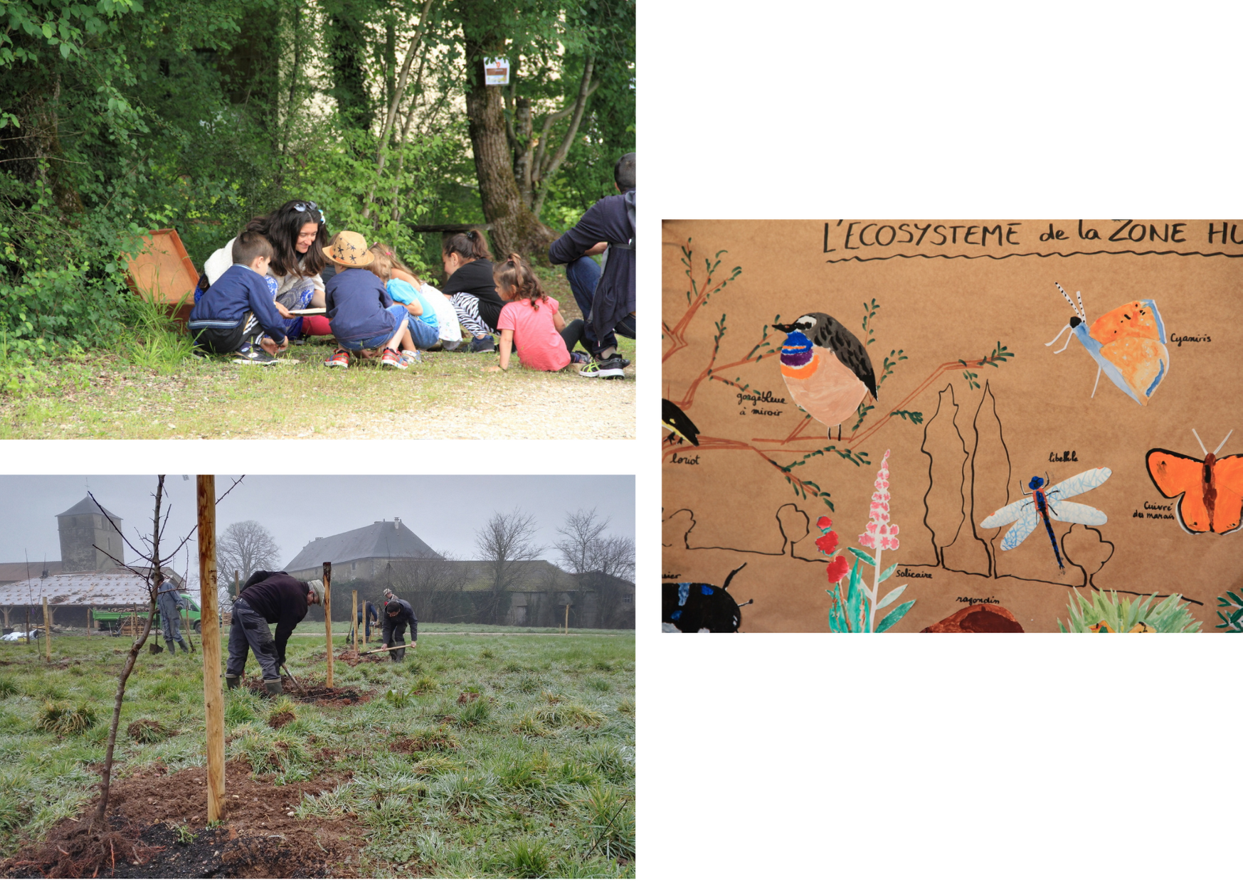 fondations actions