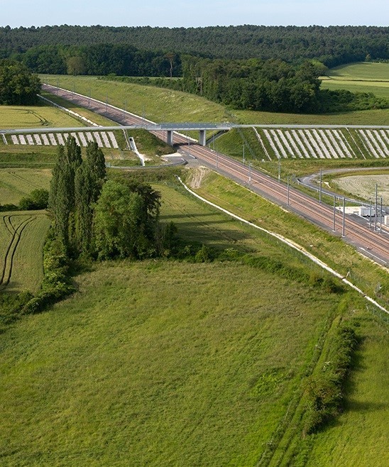 exemple de plantations a Marigny Brizais Vienne